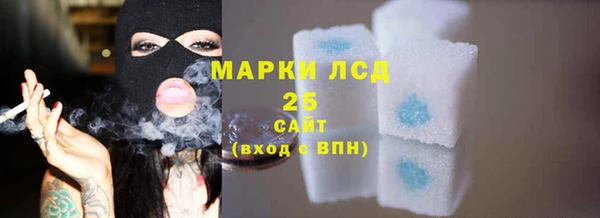 стаф Липки