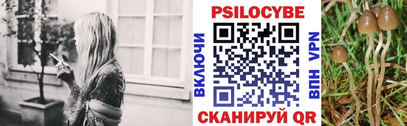 мориарти как зайти  Рассказово  Псилоцибиновые грибы Magic Shrooms 